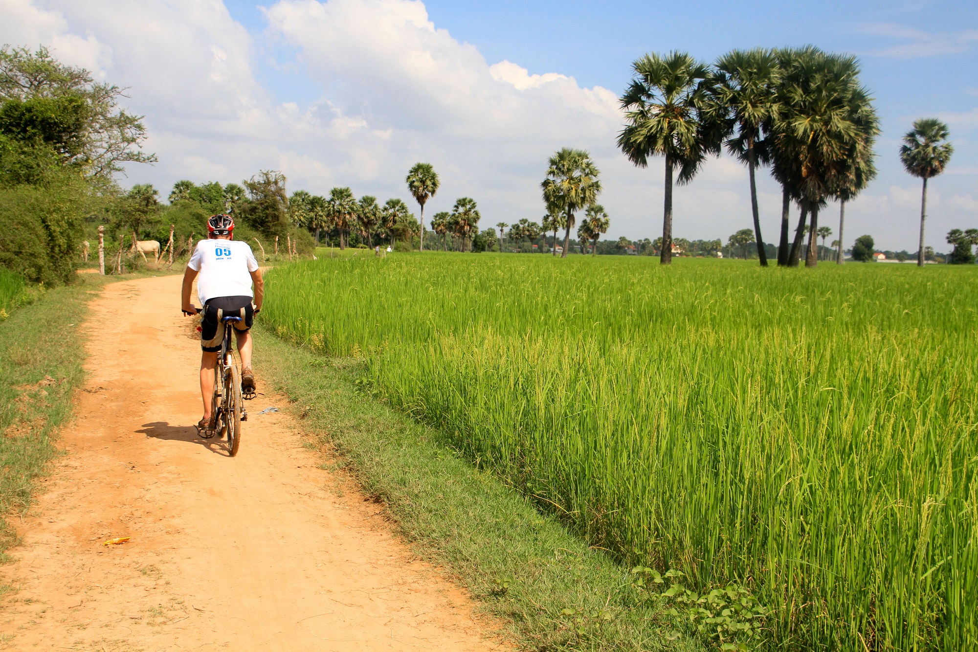 Photos from our Cambodia to Vietnam Cycling Holiday