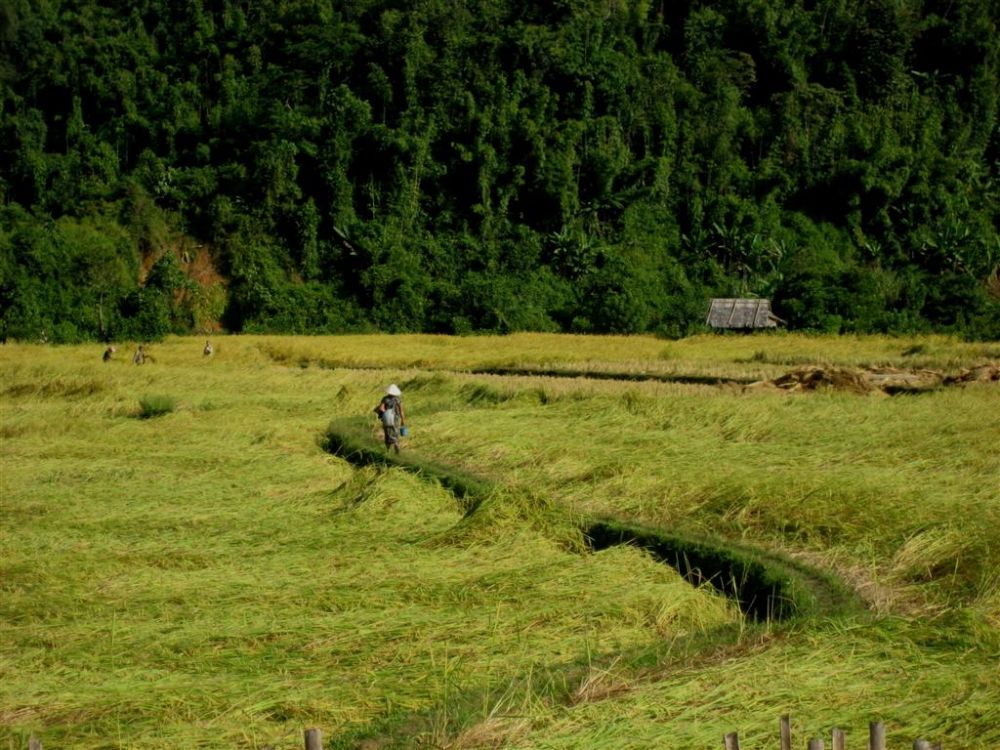 Photos from our Laos - Luang Prabang to Vientiane Cycling Holiday