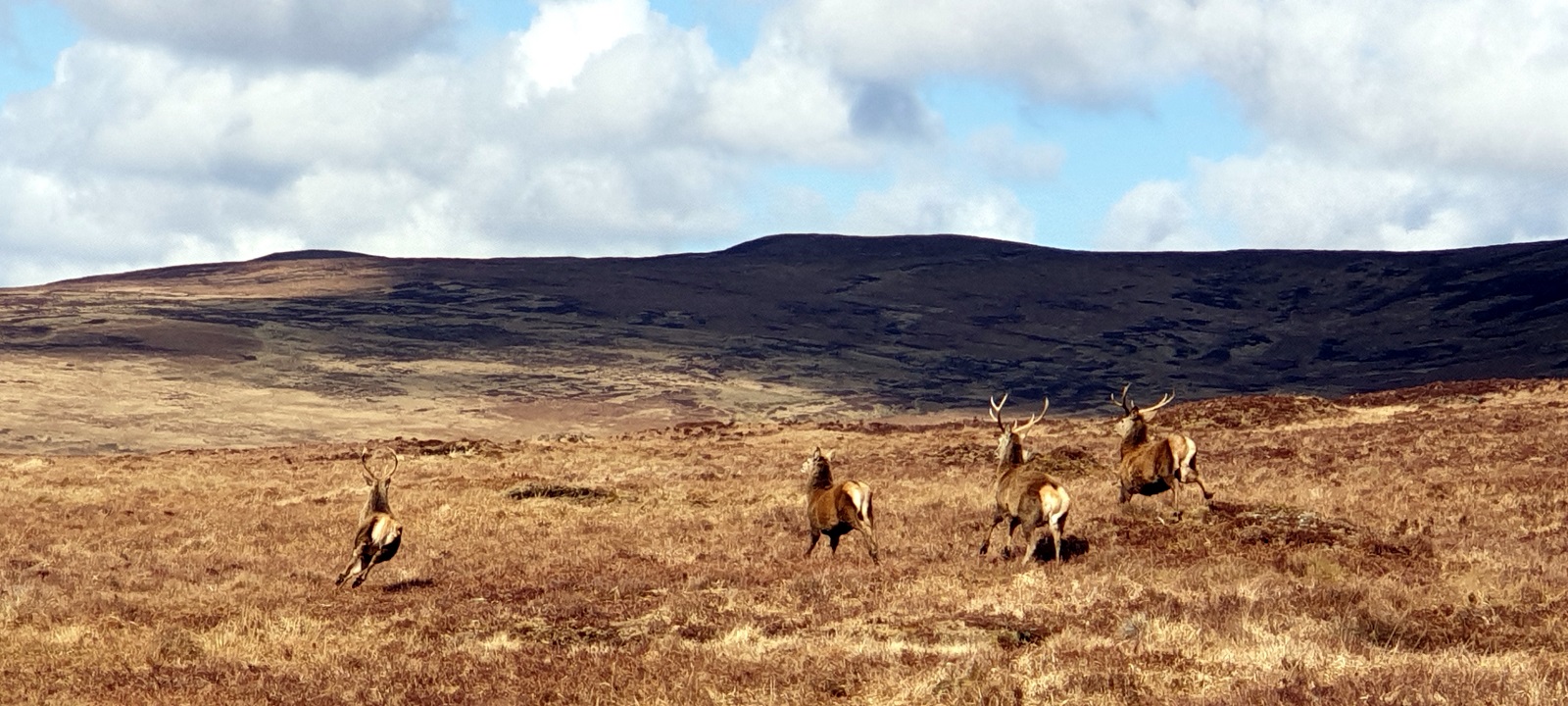 Photos from our Remote Highlands Cycling Holiday