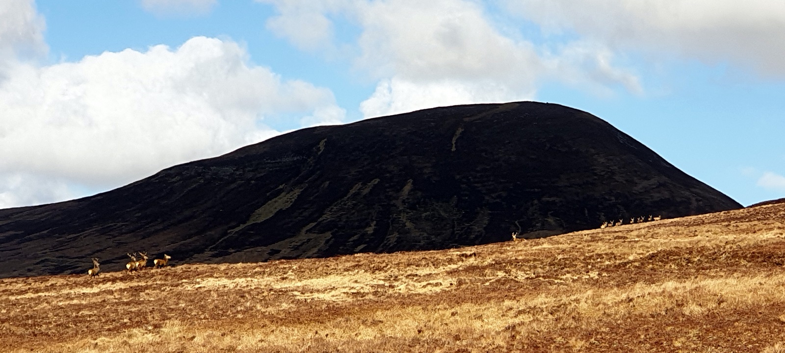 Photos from our Remote Highlands Cycling Holiday