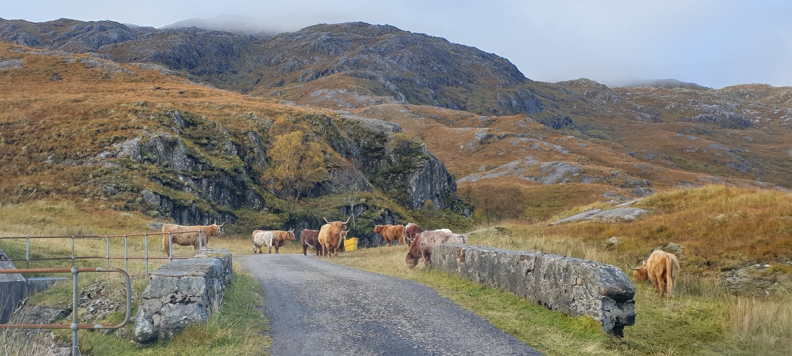 Photos from our Remote Highlands Cycling Holiday