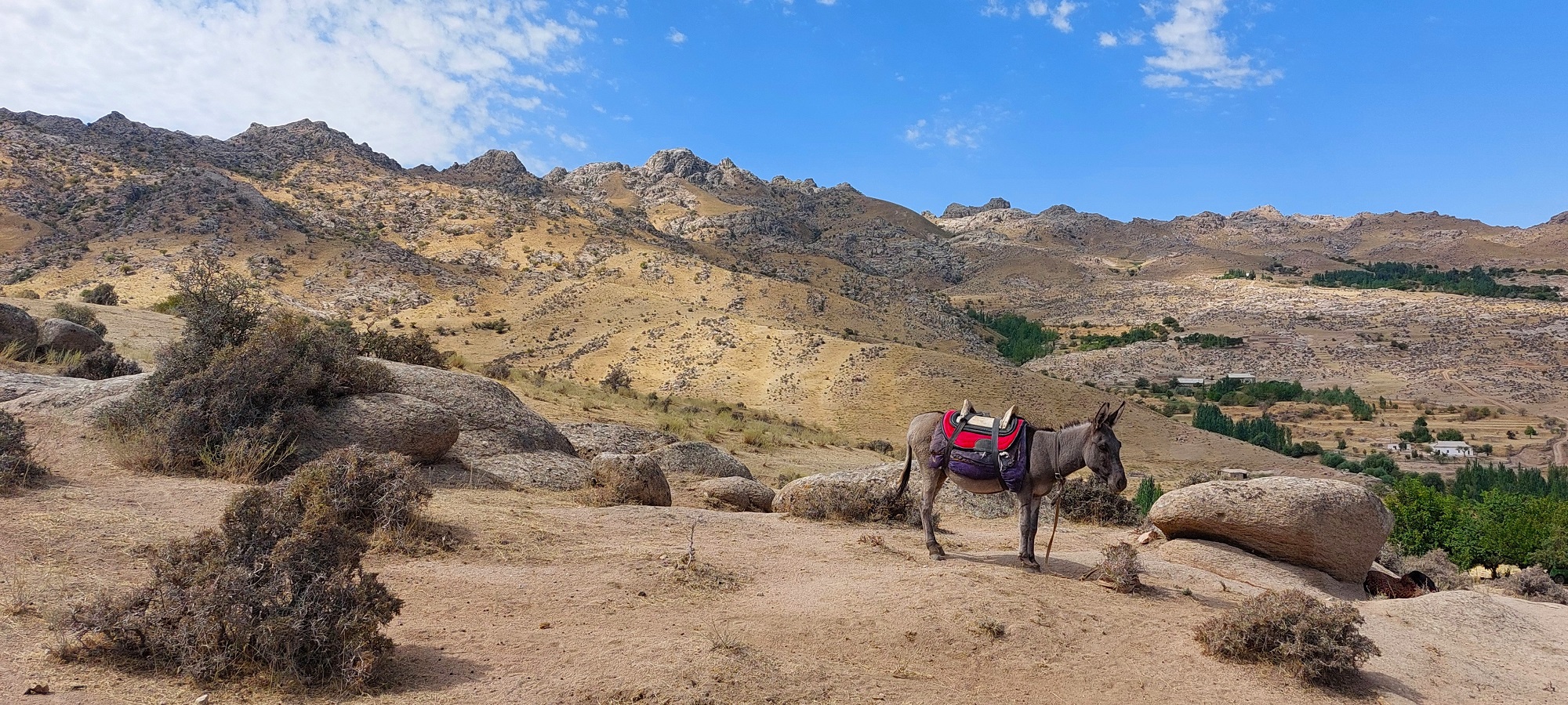 Photos from our Uzbekistan Cycling Holiday