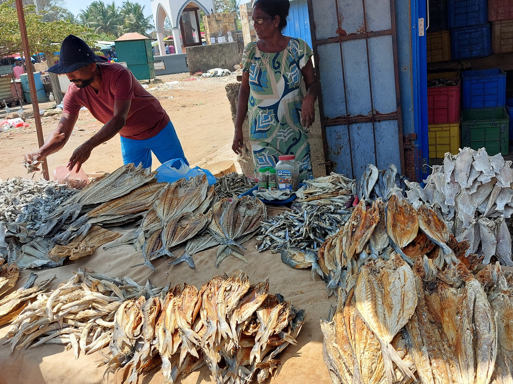 Photos from our Sri Lanka - Classic Cycling Holiday