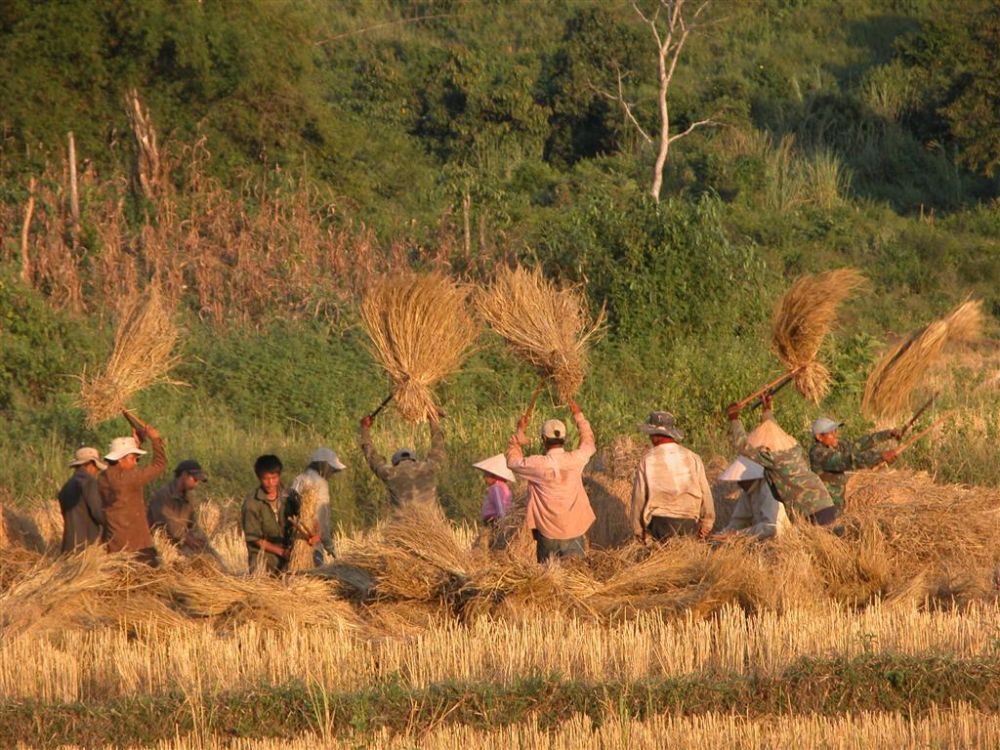 Photos from our Laos - Luang Prabang to Vientiane Cycling Holiday