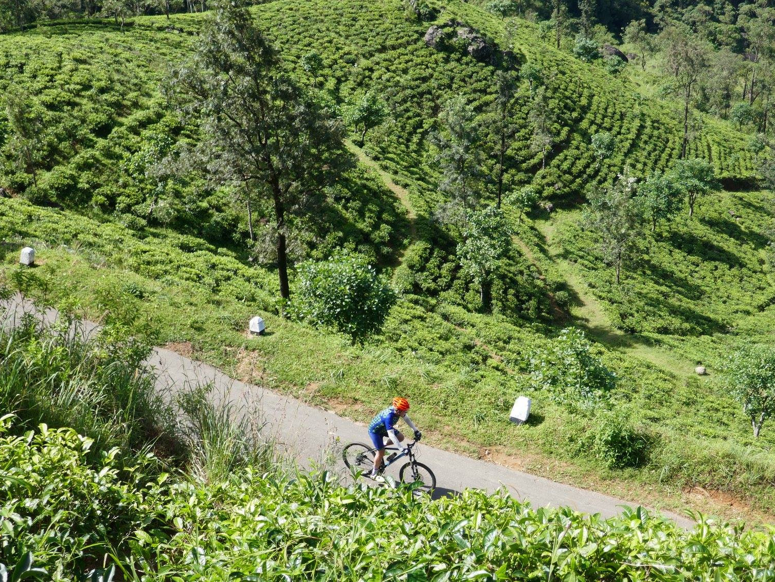 Photos from our Sri Lanka - Classic Cycling Holiday