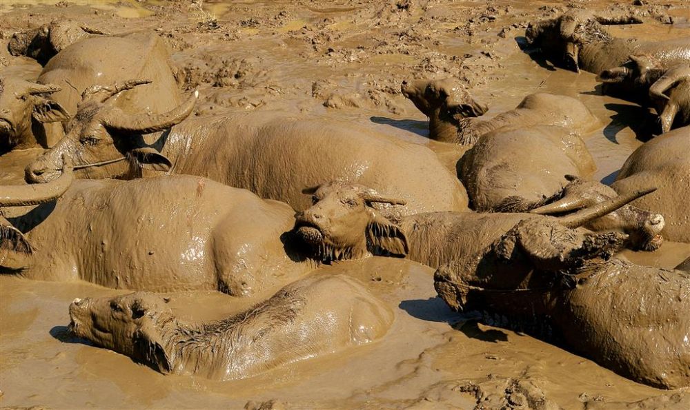 Photos from our Laos - Luang Prabang to Vientiane Cycling Holiday