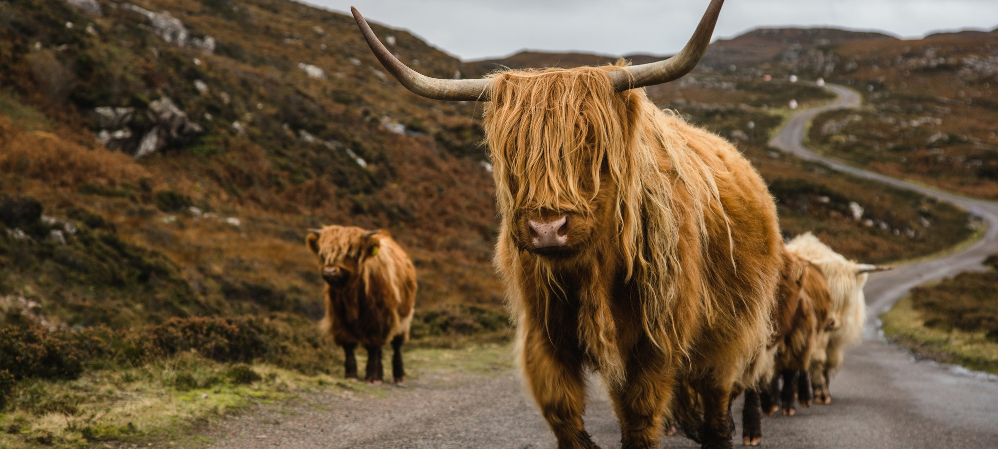 Photos from our Far North - Self Guided Cycling Holiday
