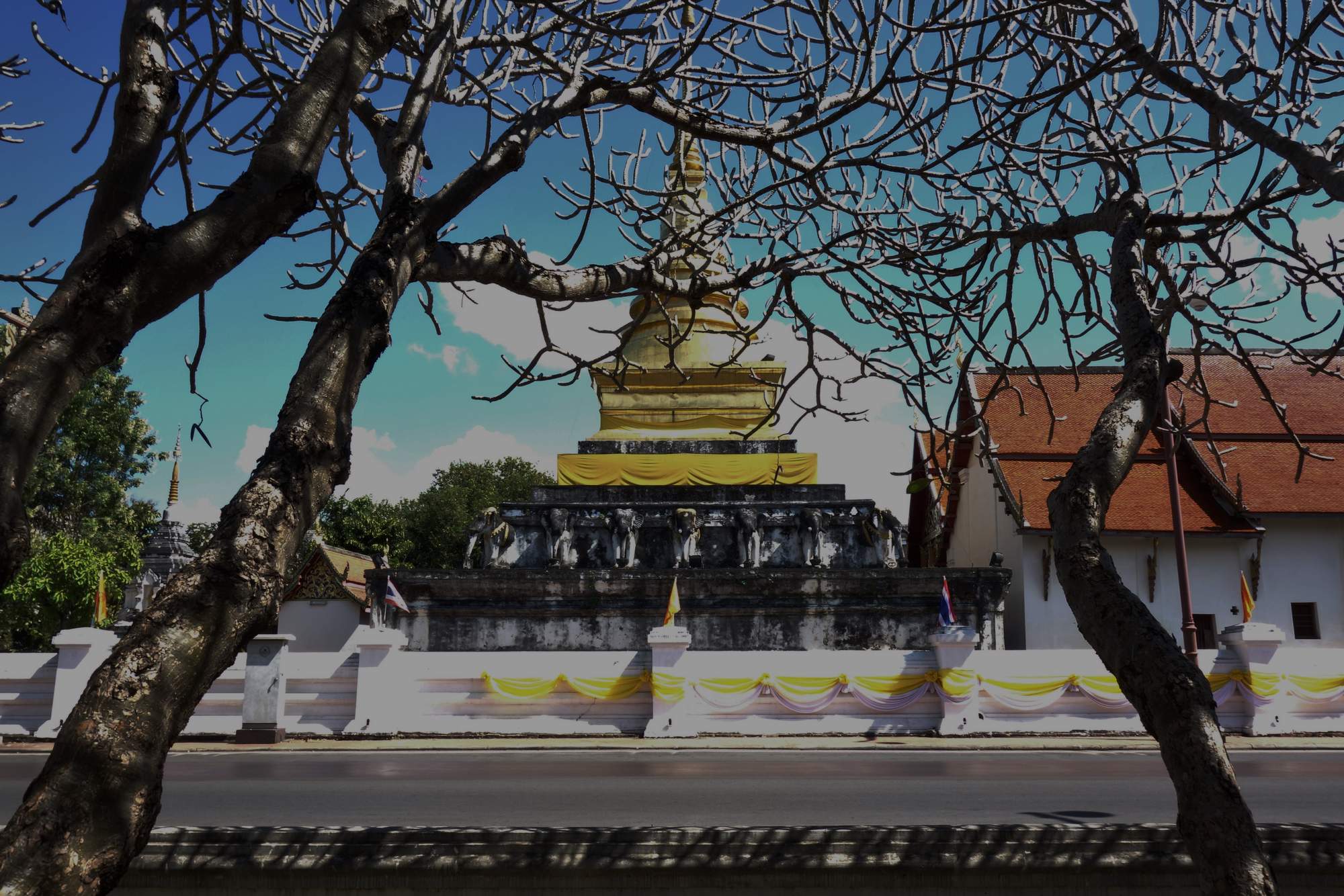 Photos from our North Thailand Cycling Holiday