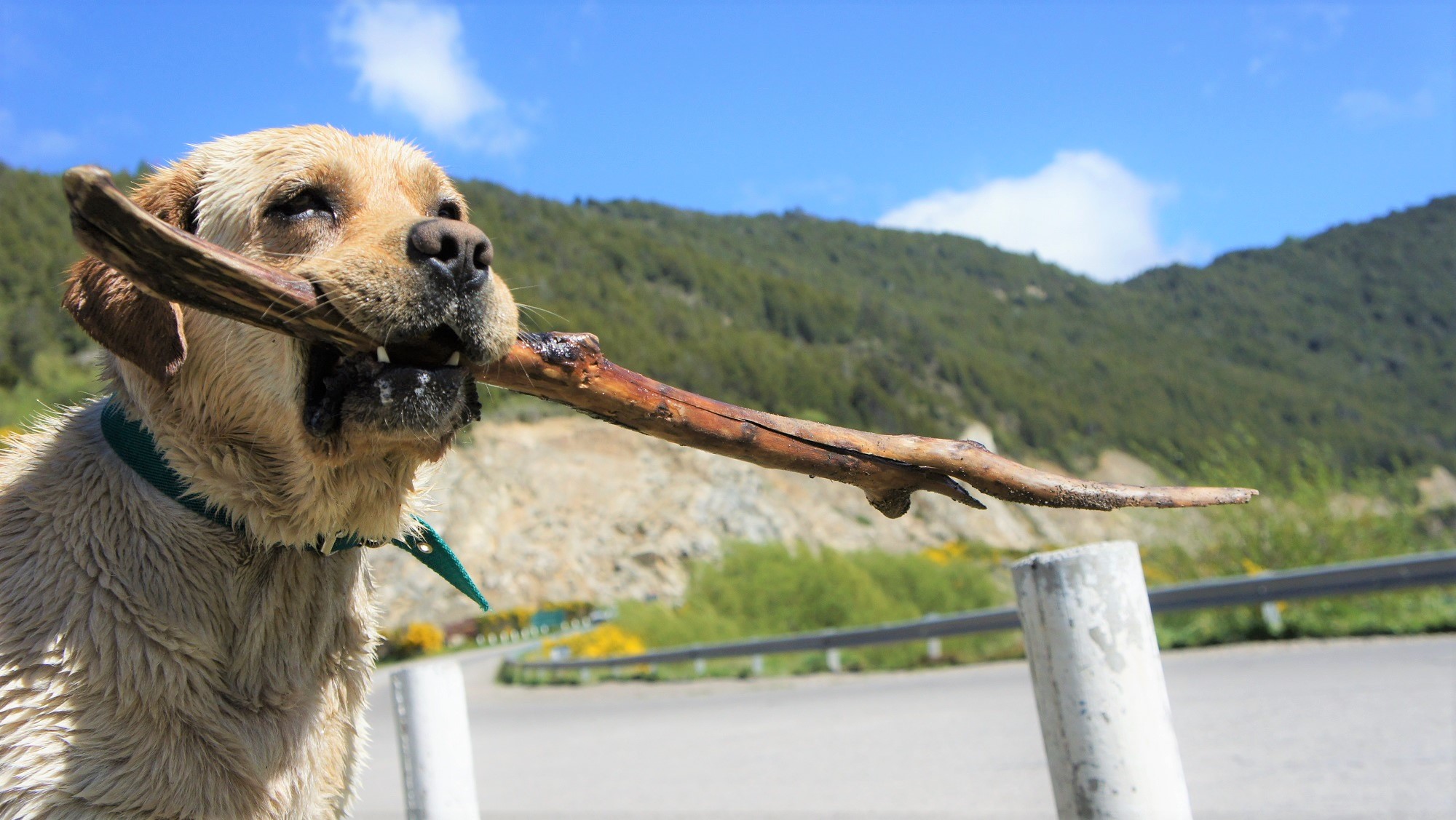 Photos from our Chile & Argentina Cycling Holiday
