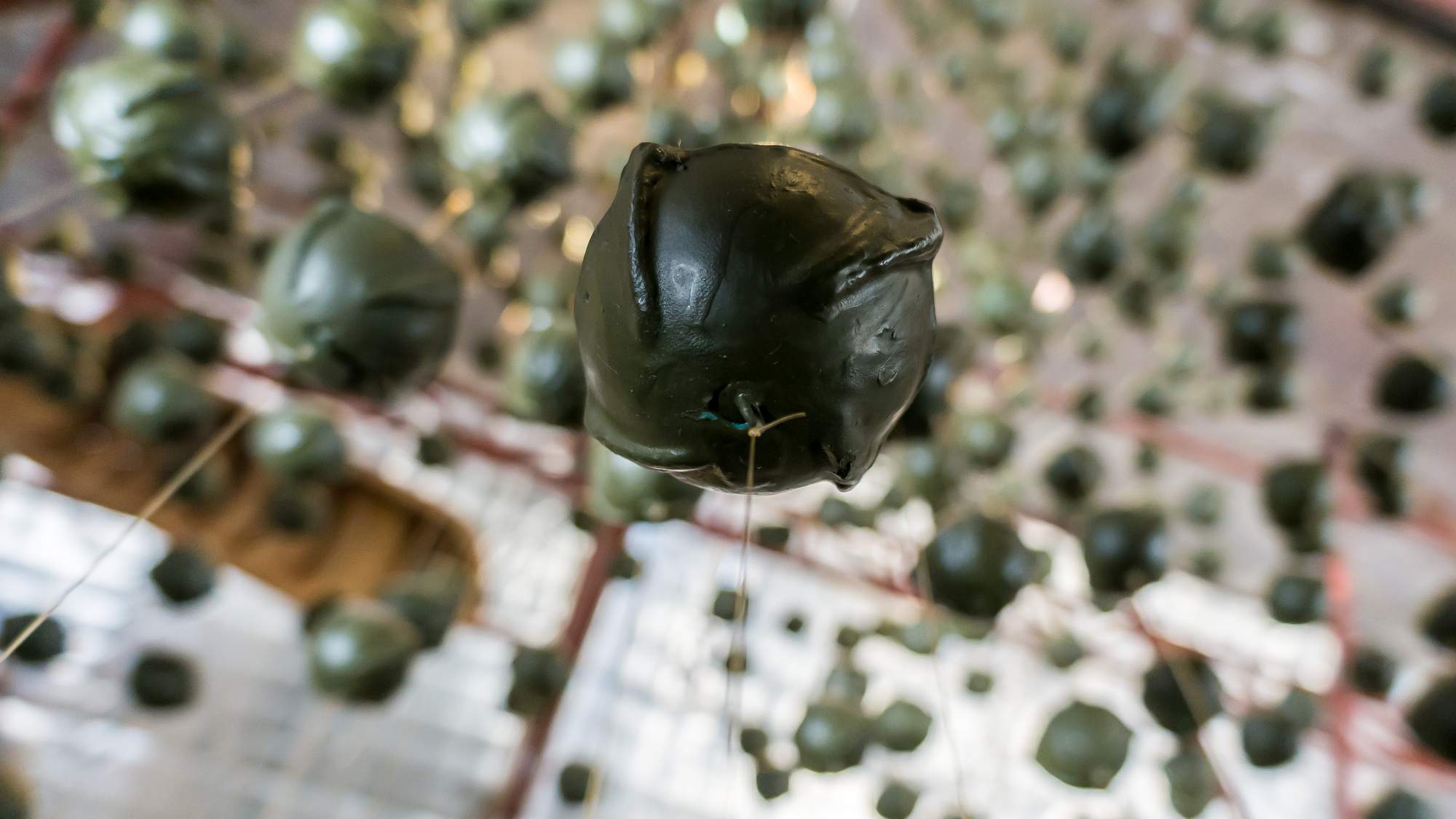 Photos from our Laos - Luang Prabang to Vientiane Cycling Holiday