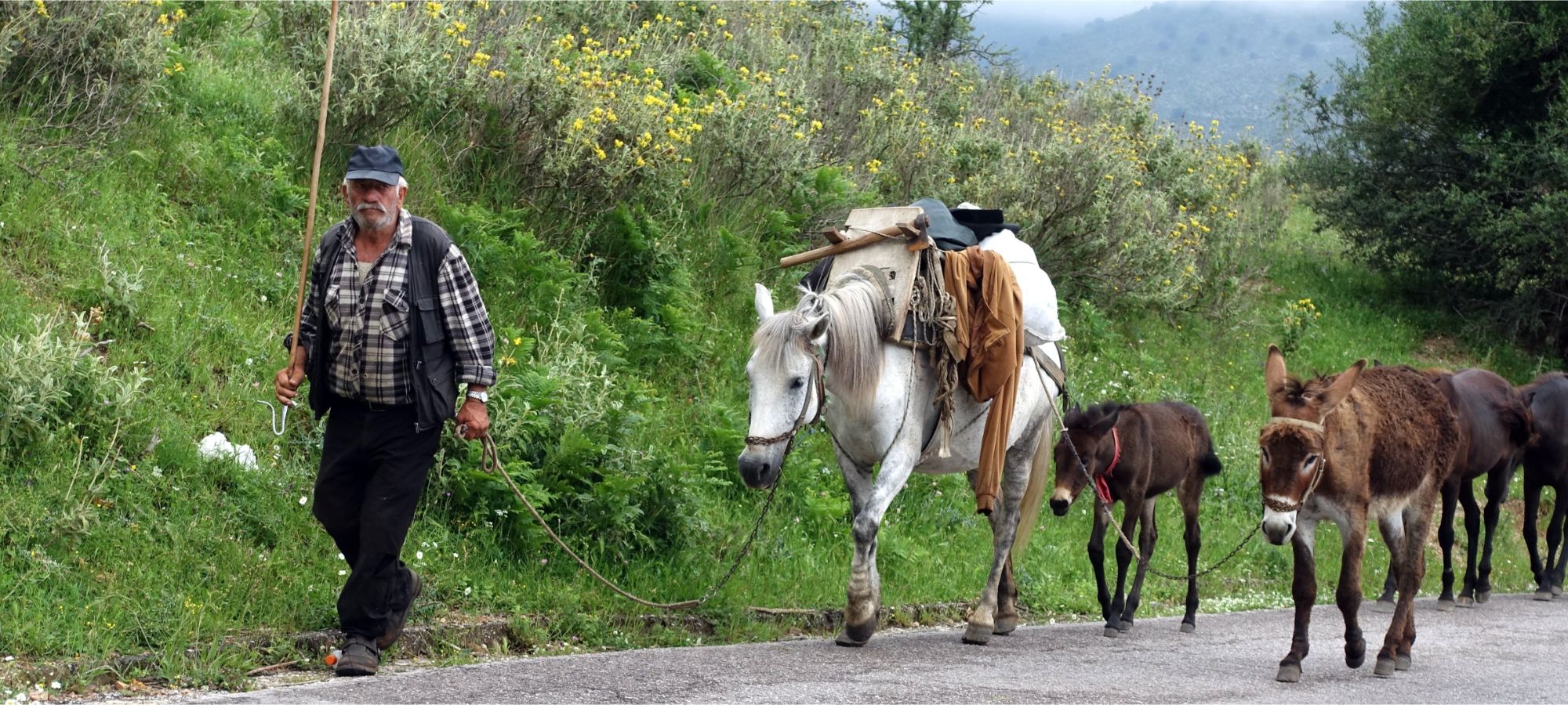 Photos from our Albania - Classic Cycling Holiday