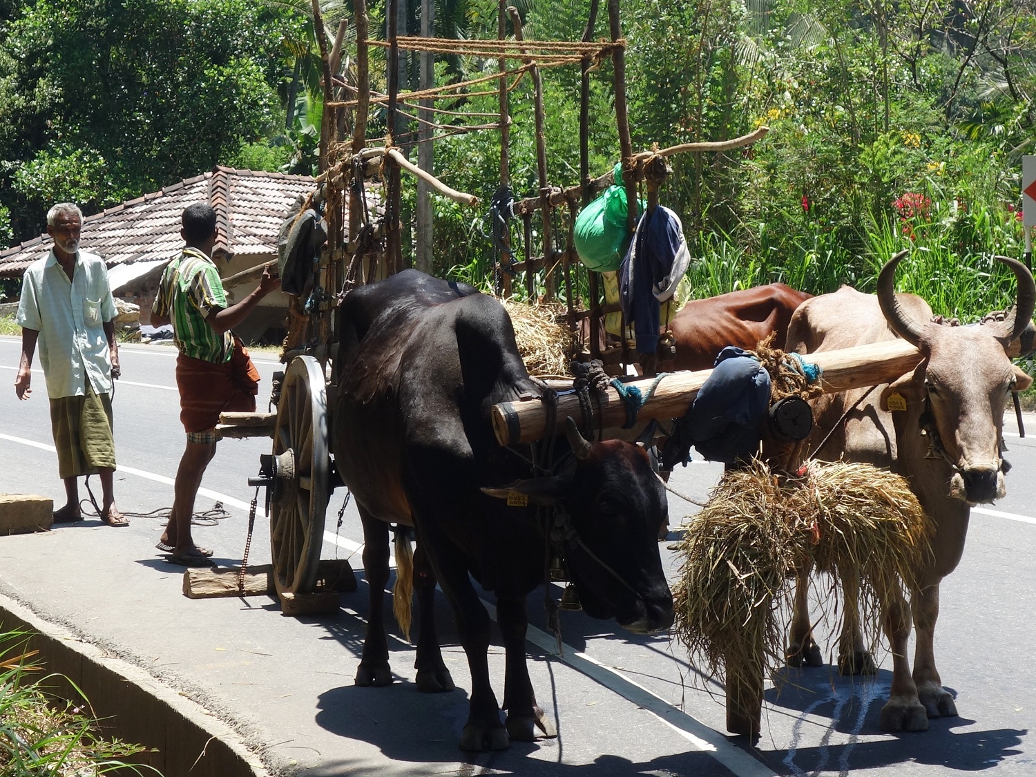 Photos from our Sri Lanka - Classic Cycling Holiday