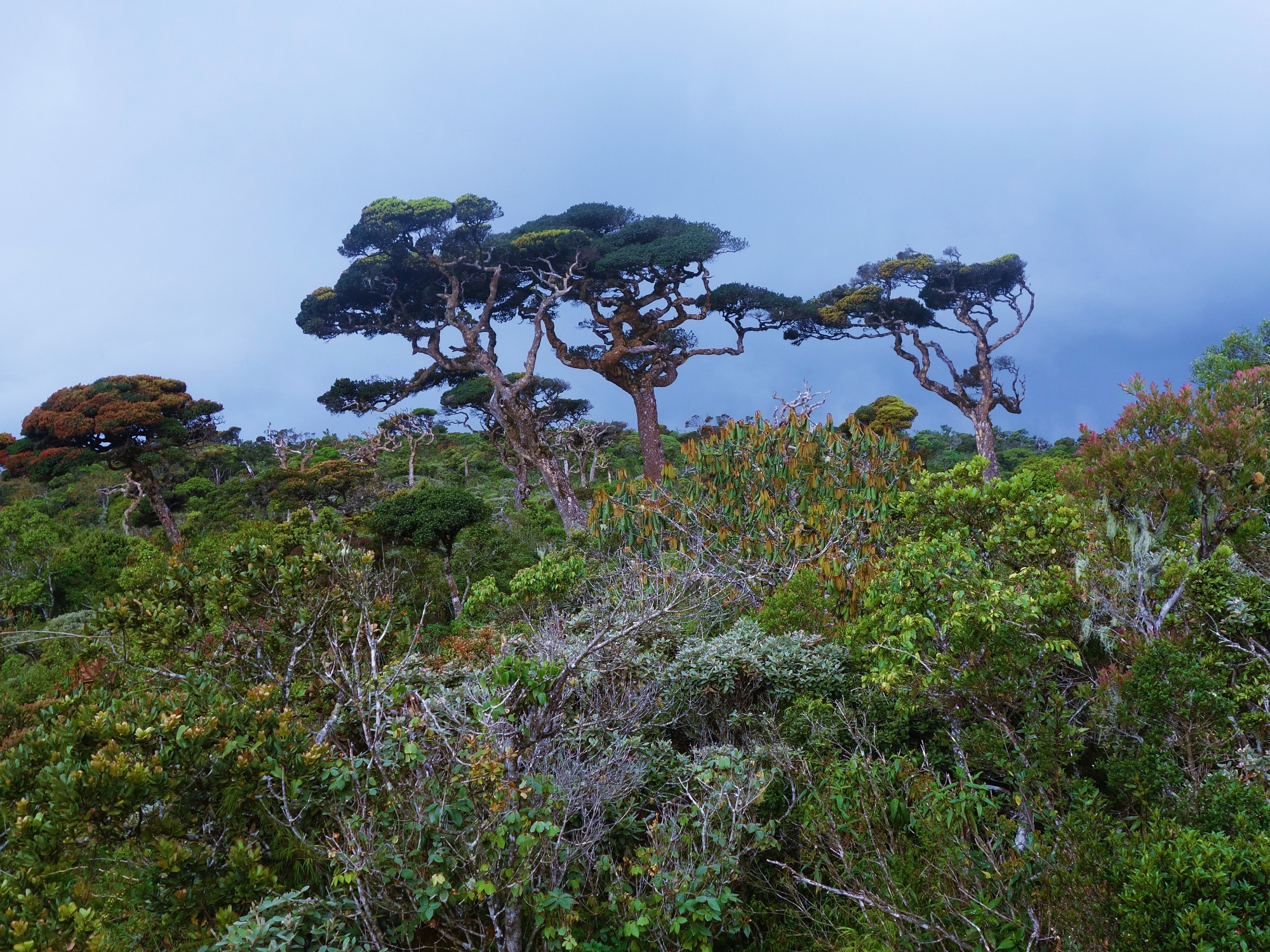Photos from our Sri Lanka - Classic Cycling Holiday
