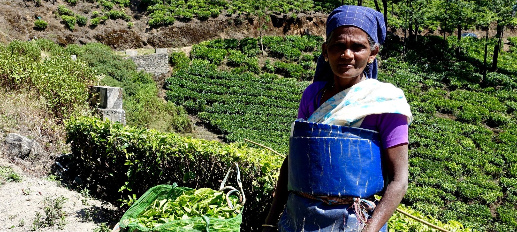 Photos from our India - Kerala Cycling Holiday