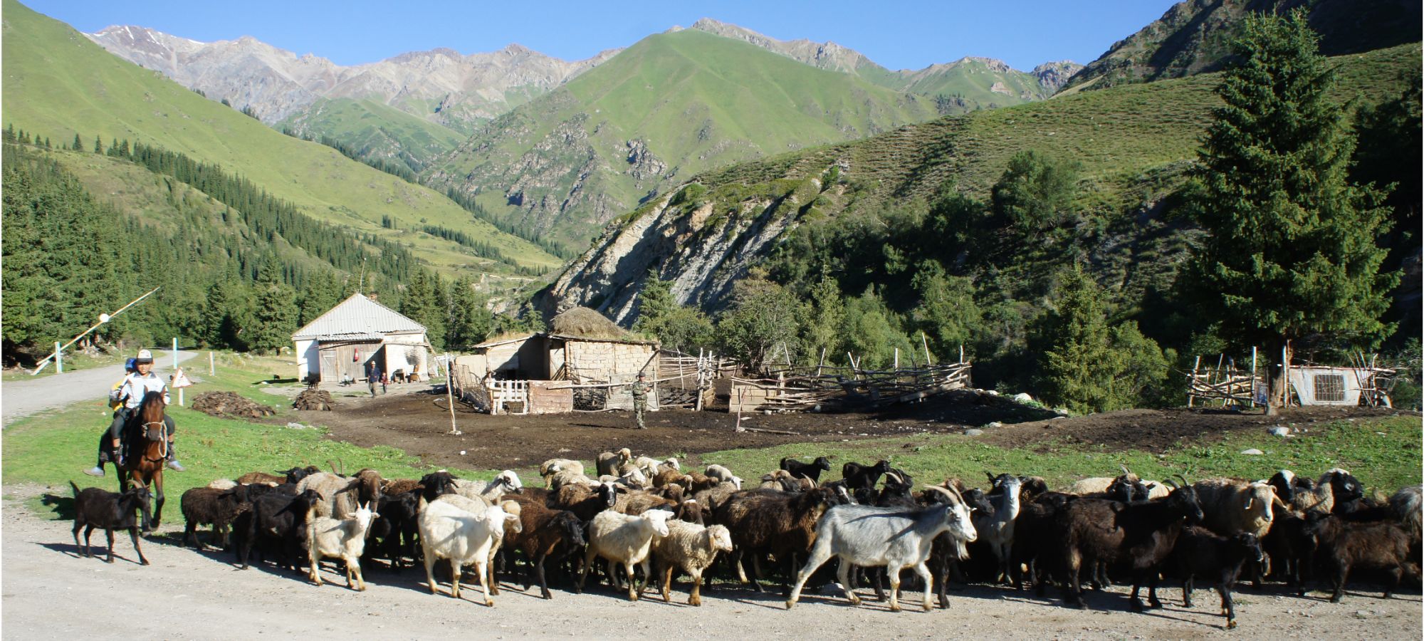 Photos from our Kyrgyzstan - The Shepherd's Way Cycling Holiday