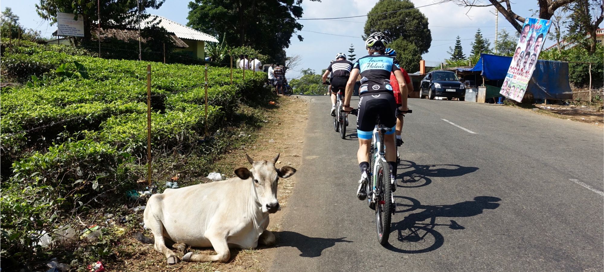 Photos from our India - Kerala Cycling Holiday