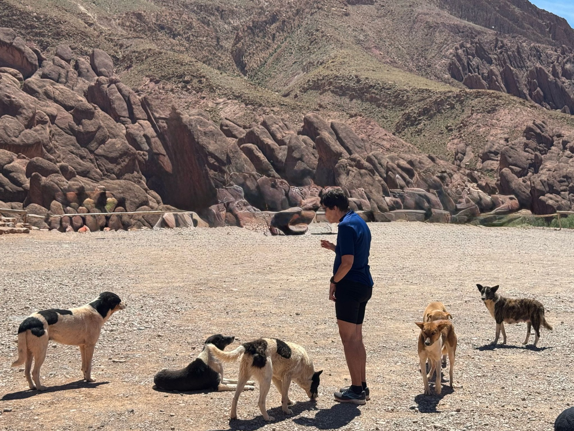 Photos from our Morocco Cycling Holiday