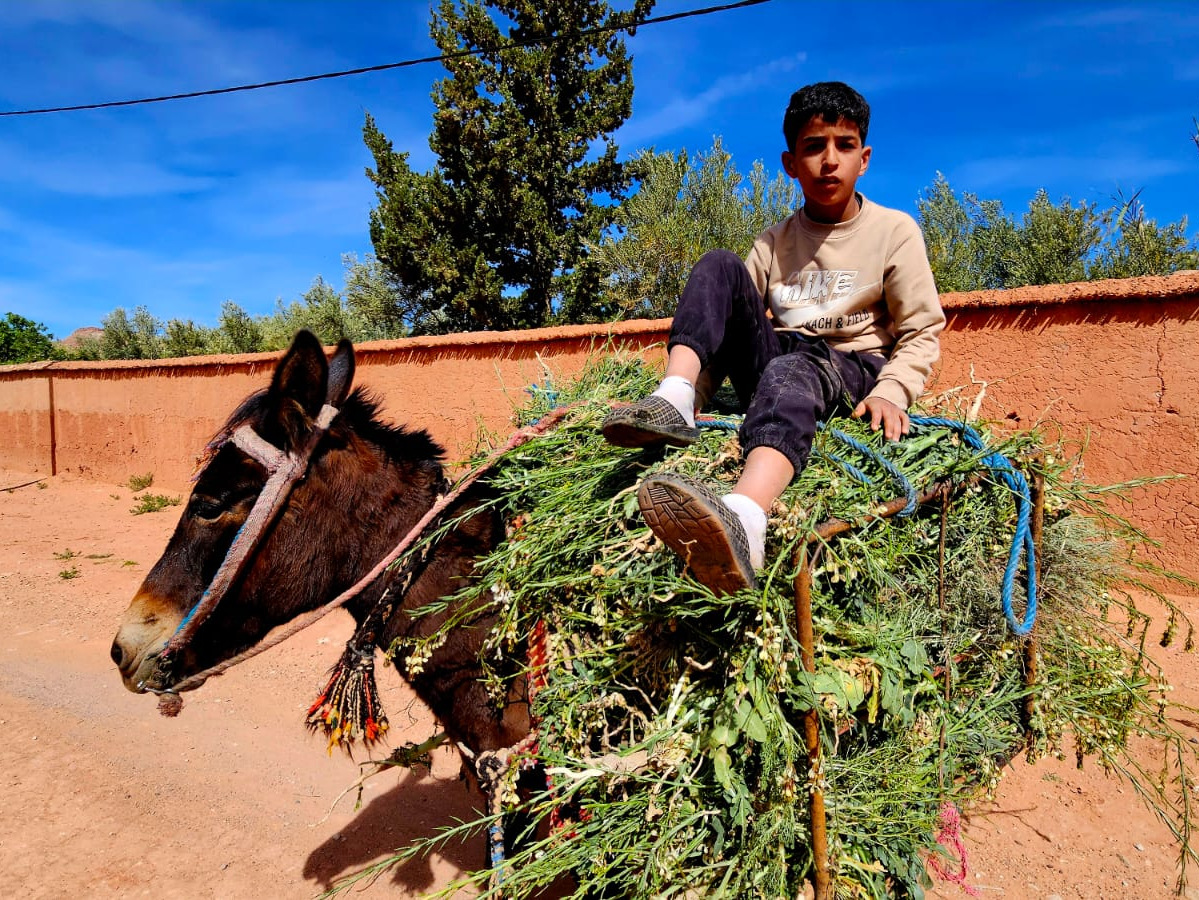 Photos from our Morocco Cycling Holiday
