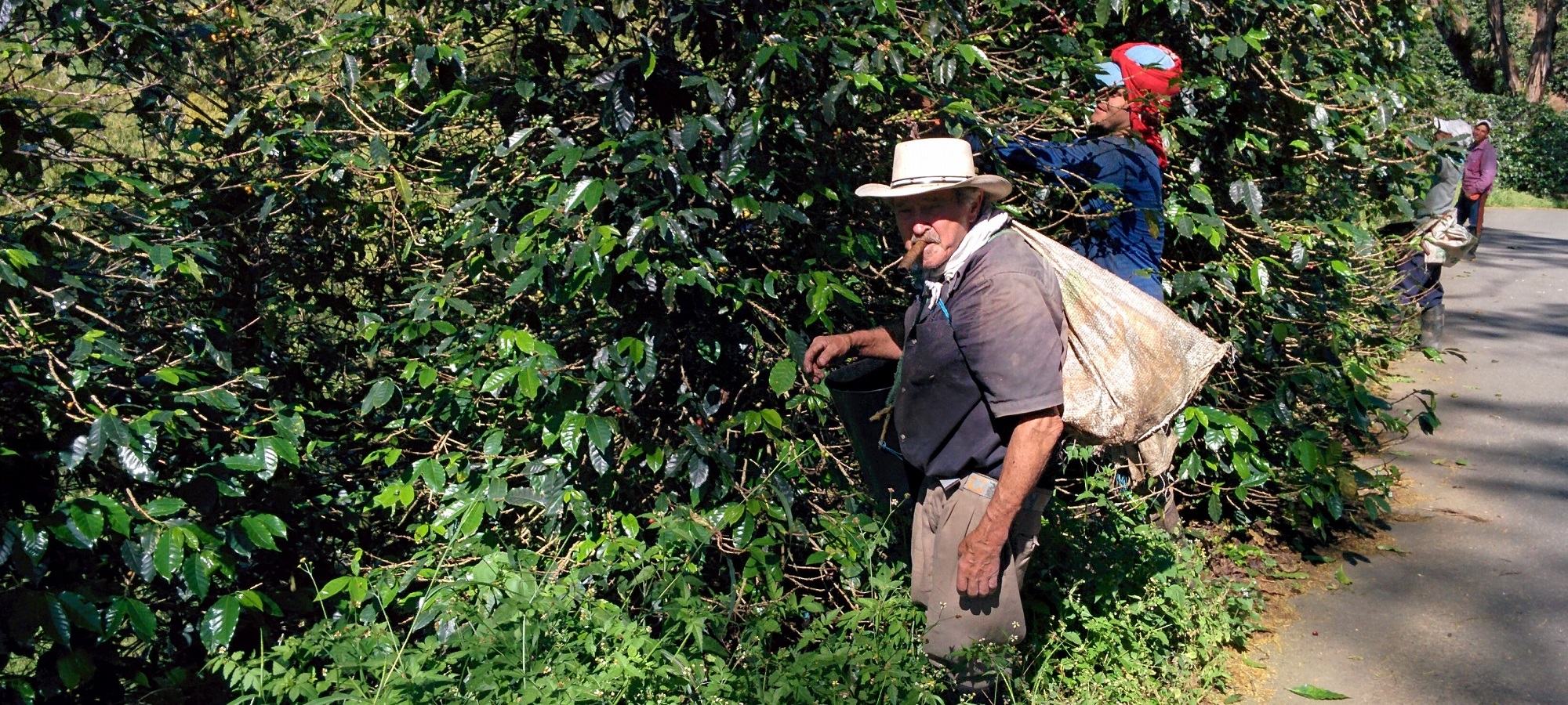 Photos from our Colombia  Cycling Holiday