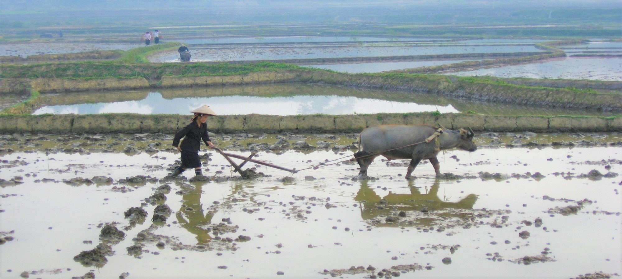Photos from our Vietnam N.E Cycling Holiday