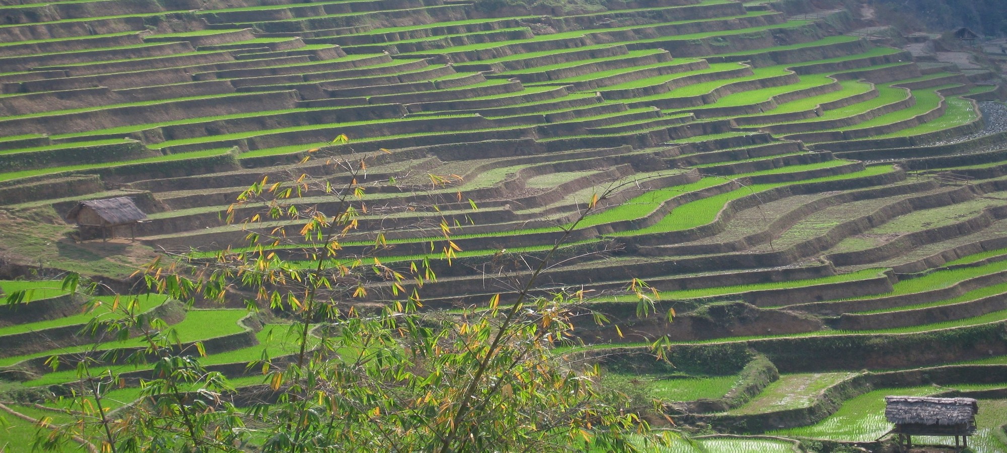 Photos from our Vietnam N.E Cycling Holiday