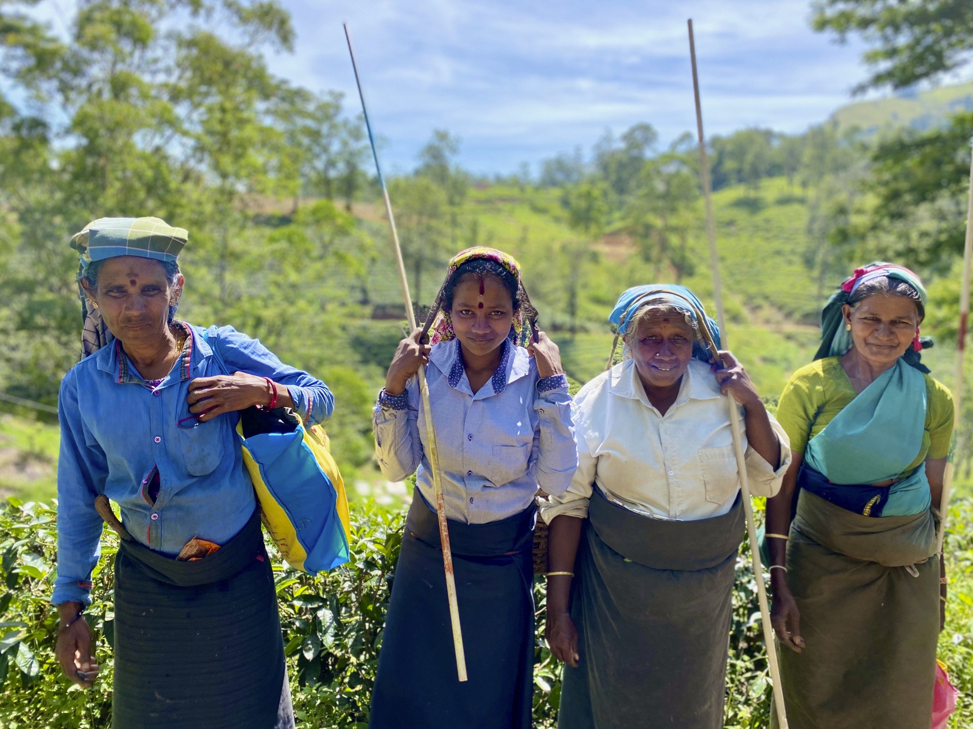 Photos from our Sri Lanka - Classic Cycling Holiday
