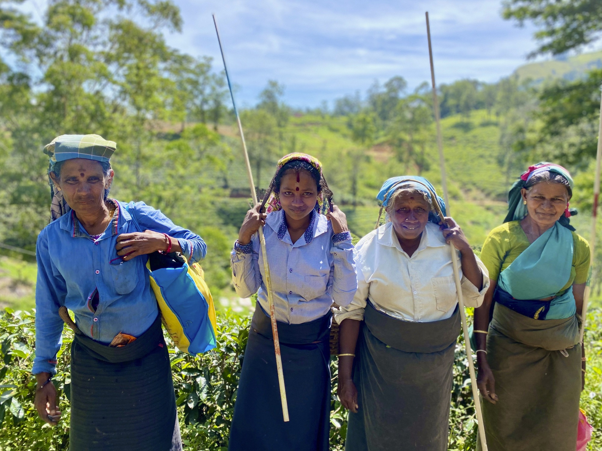 Photos from our Sri Lanka - Classic Cycling Holiday