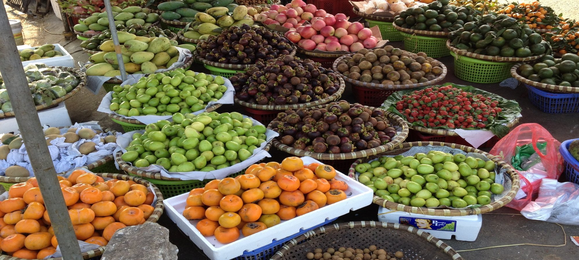 Photos from our Vietnam N.E Cycling Holiday