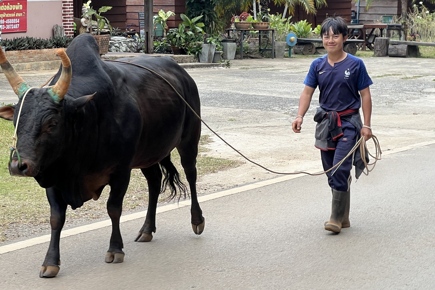 Photos from our North Thailand Cycling Holiday