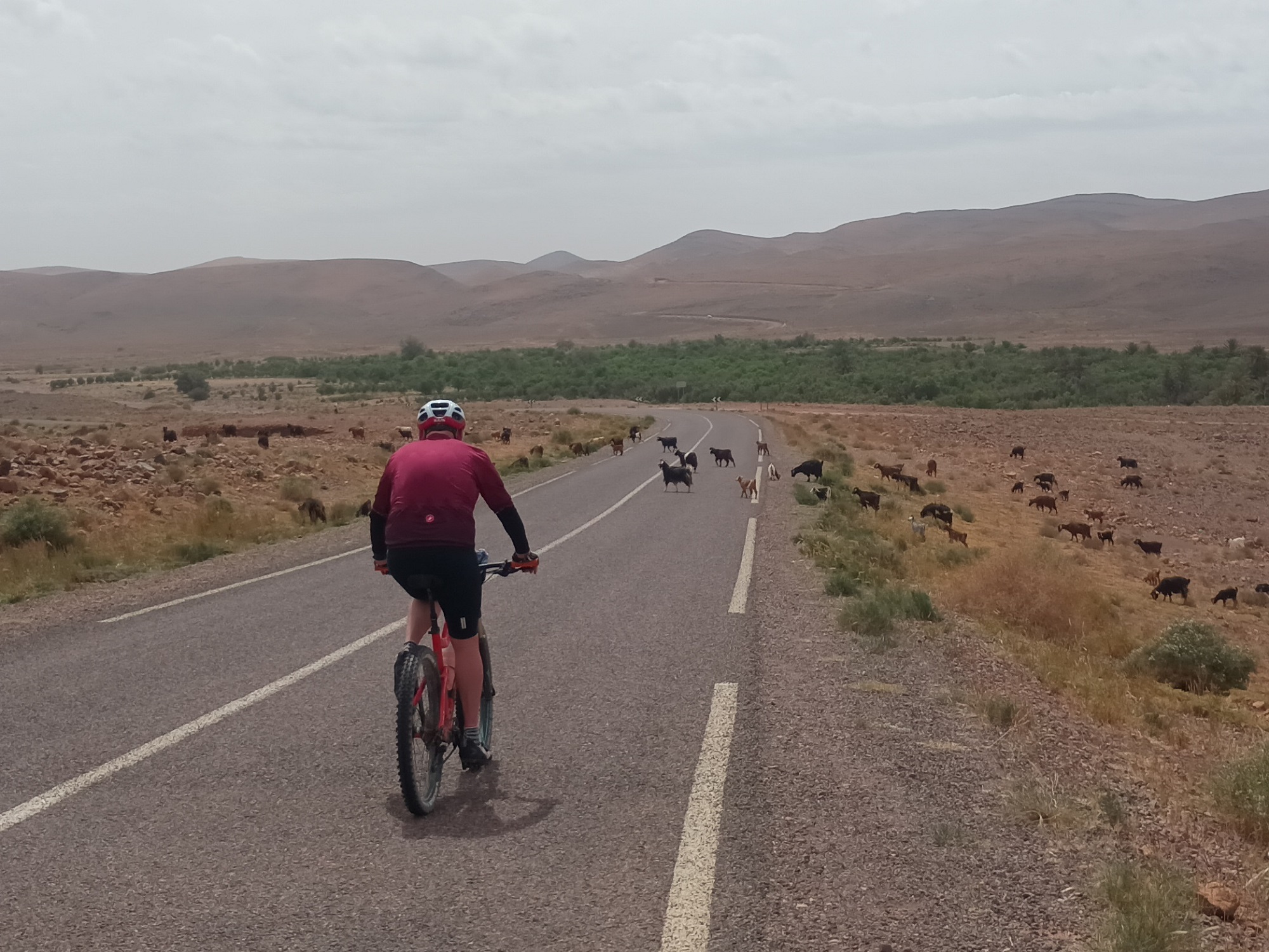 Photos from our Morocco Cycling Holiday