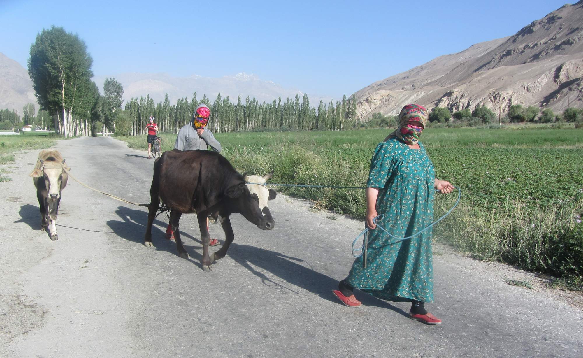 Photos from our Tajikistan to Kyrgyzstan   Cycling Holiday