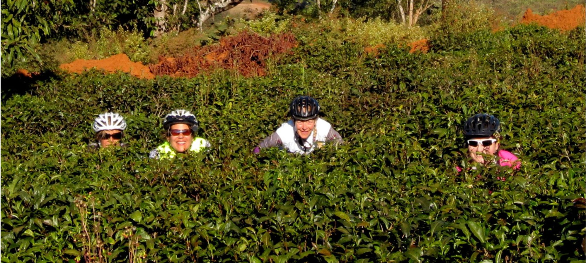 Photos from our Burma - Classic Cycling Holiday