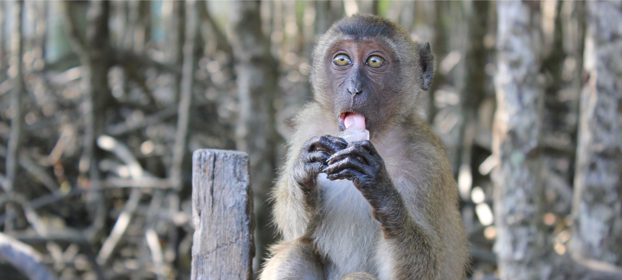 Photos from our Cambodia Cycling Holiday