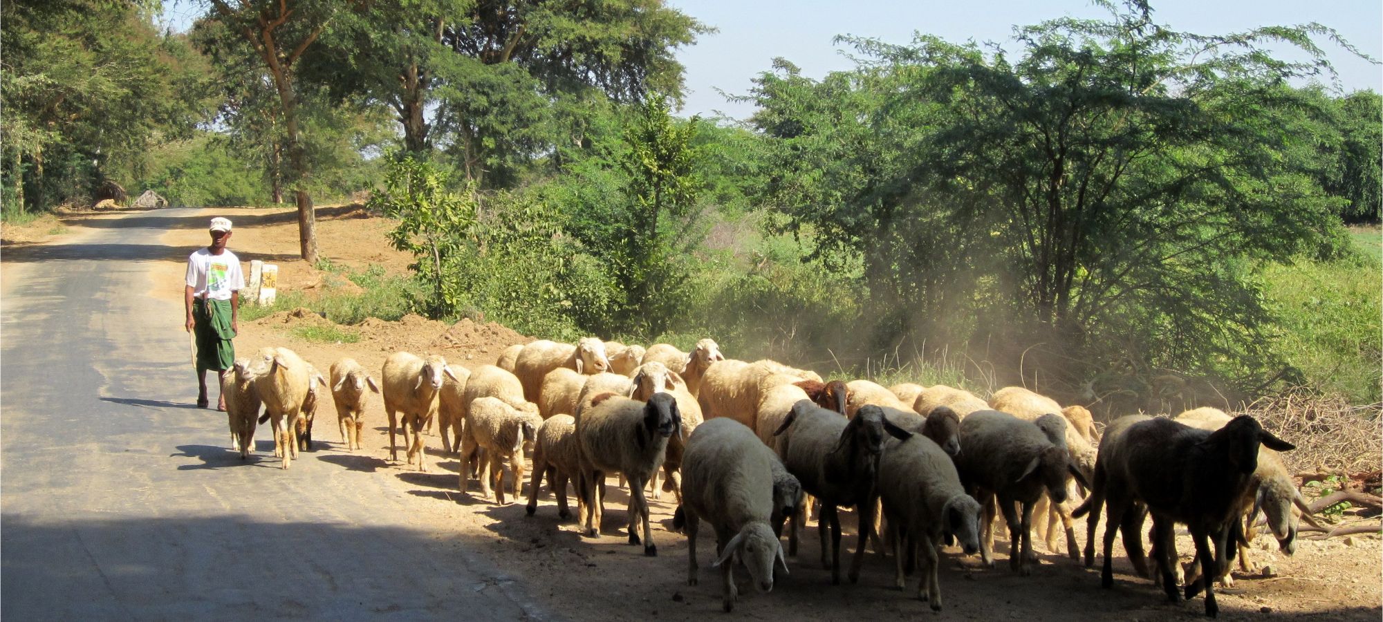 Photos from our Burma - Classic Cycling Holiday