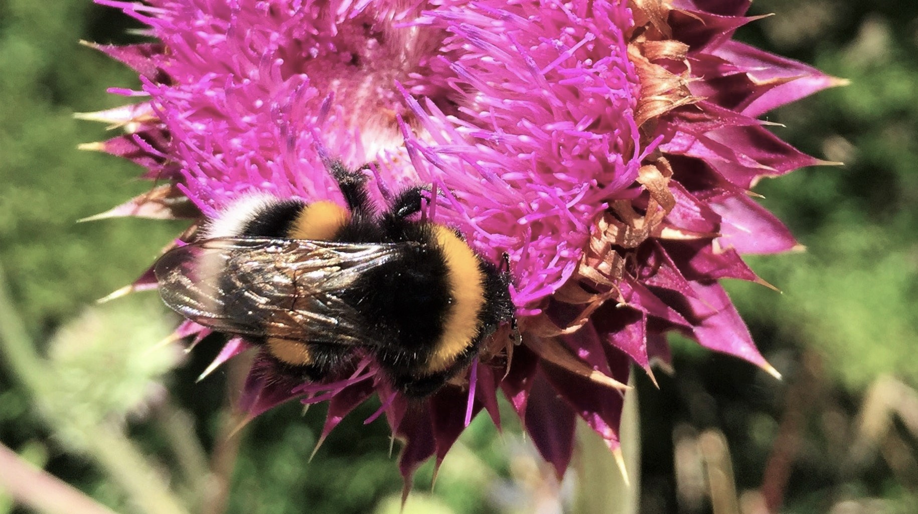 Photos from our Chile & Argentina Cycling Holiday