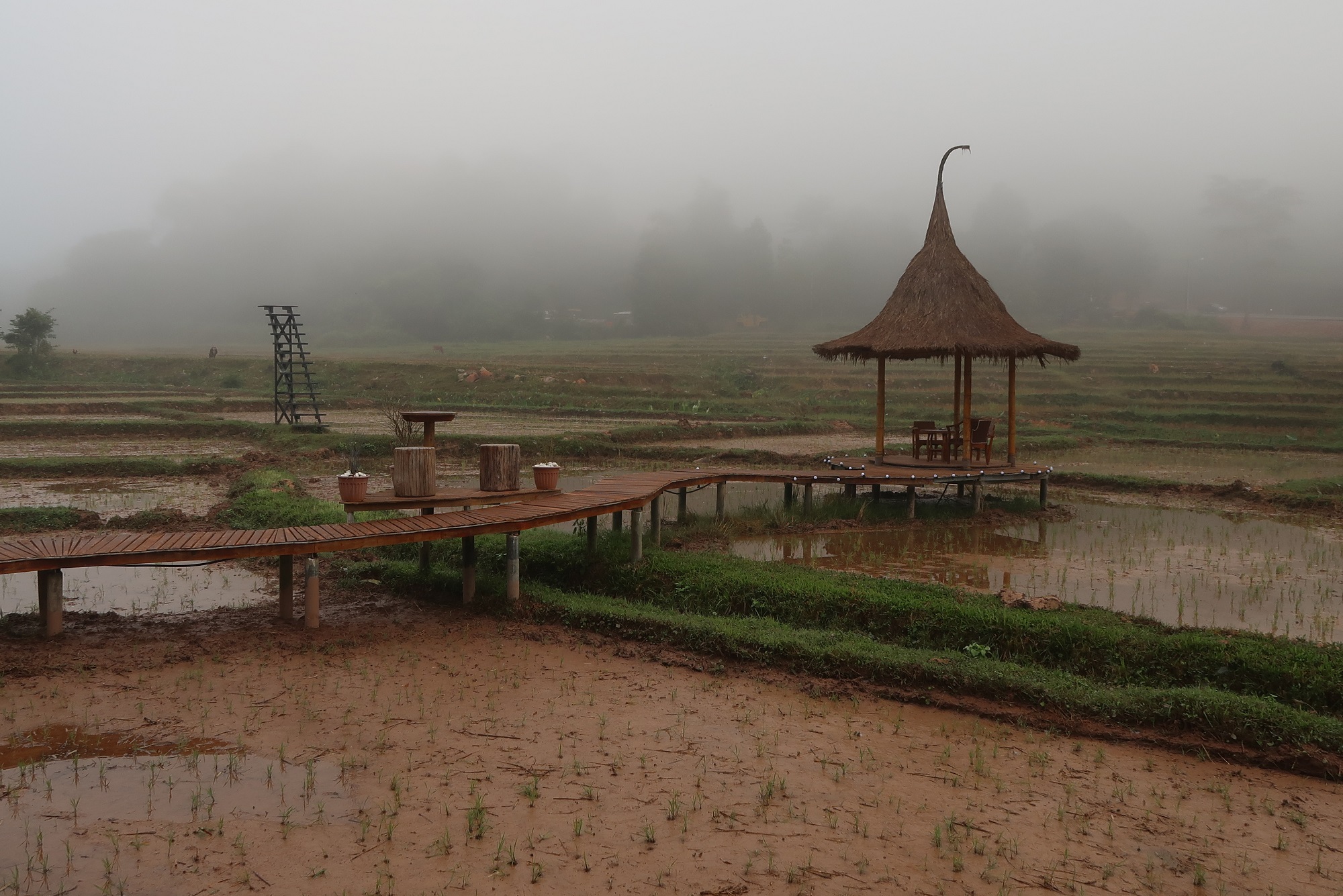 Photos from our North Thailand Cycling Holiday