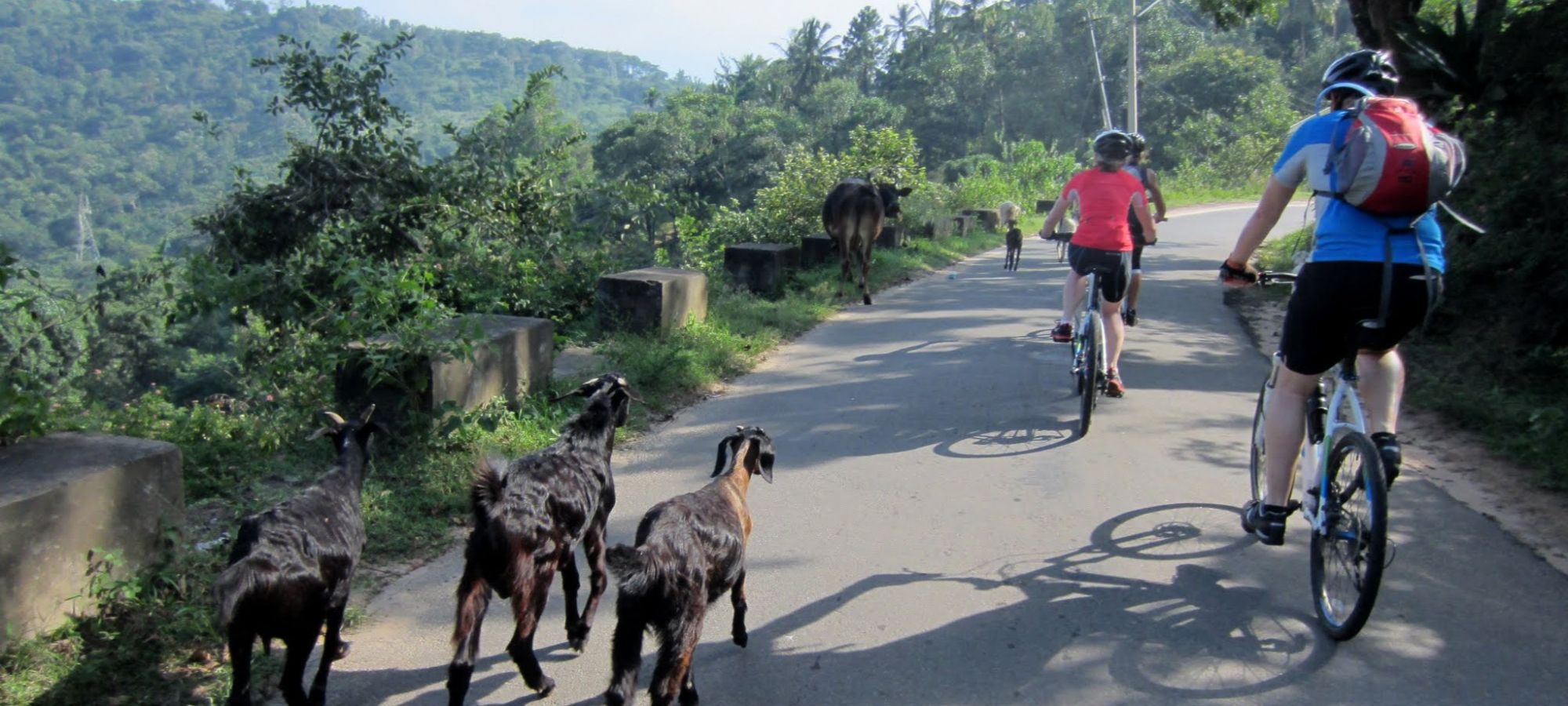 Photos from our India - Kerala Cycling Holiday
