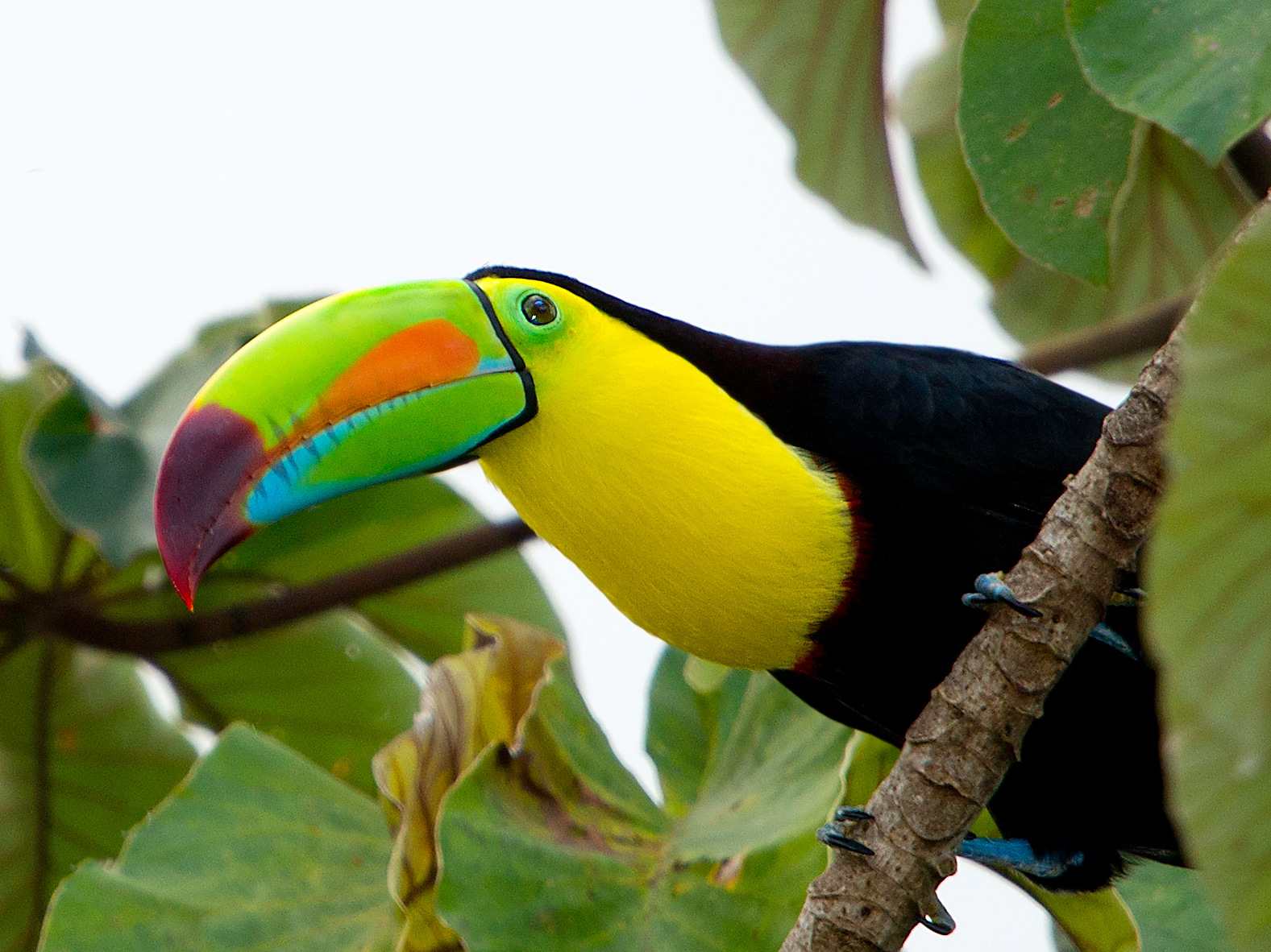 Photos from our Sri Lanka - Classic Cycling Holiday