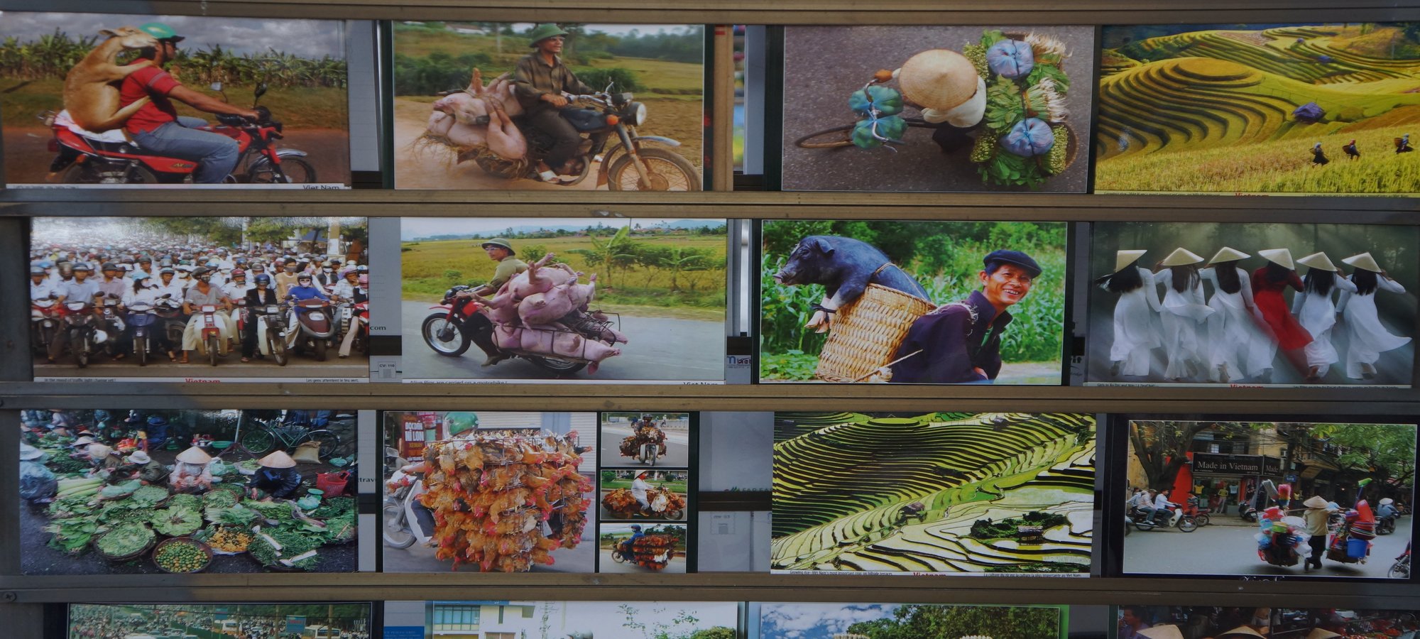 Photos from our Vietnam N.E Cycling Holiday