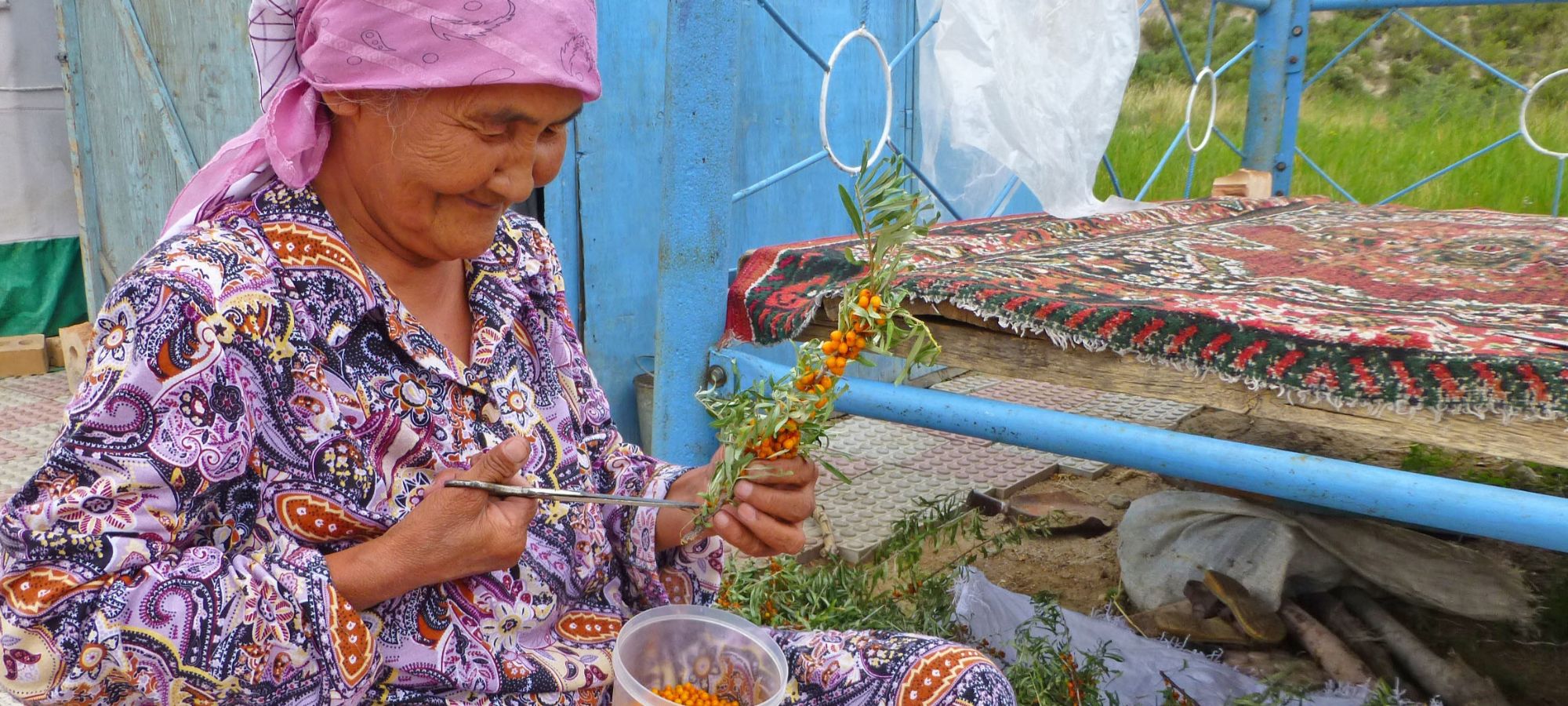 Photos from our Kyrgyzstan - The Shepherd's Way Cycling Holiday