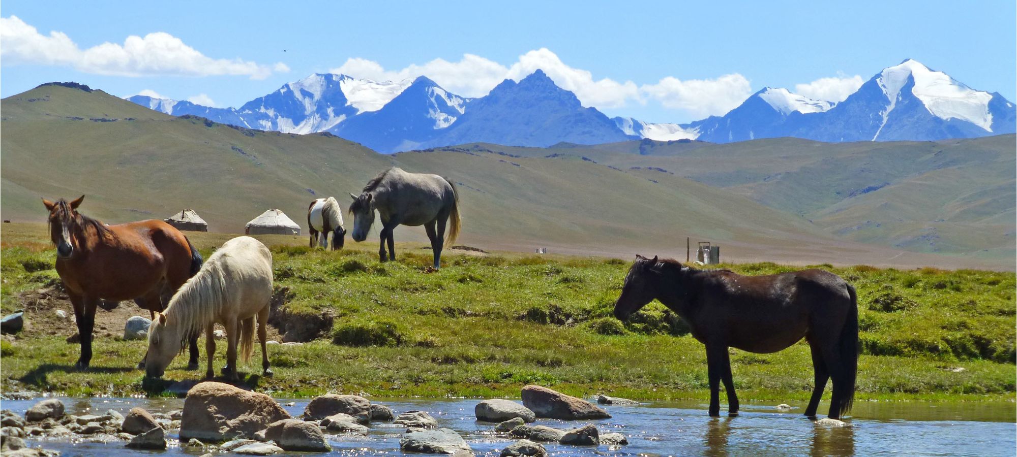 Photos from our Kyrgyzstan - The Shepherd's Way Cycling Holiday