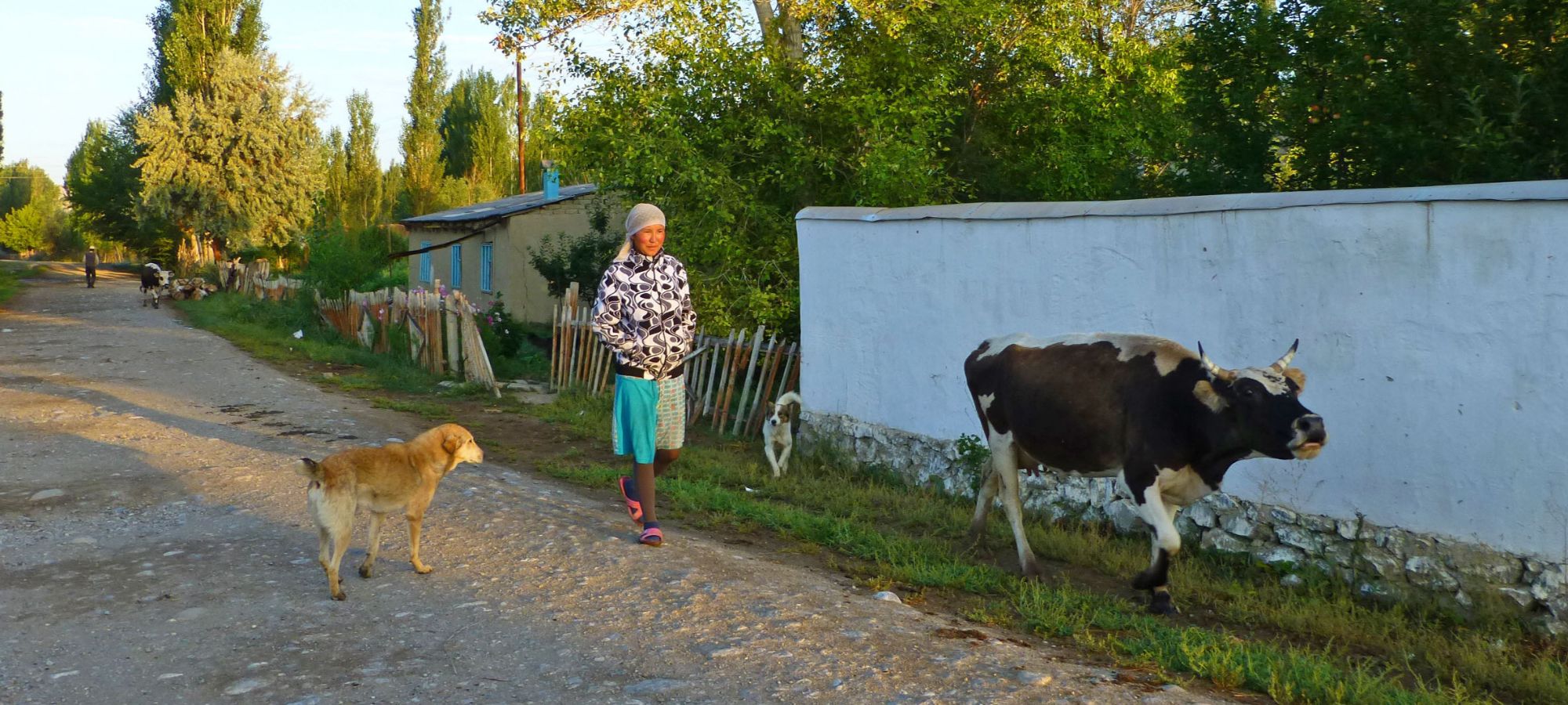 Photos from our Kyrgyzstan - The Shepherd's Way Cycling Holiday