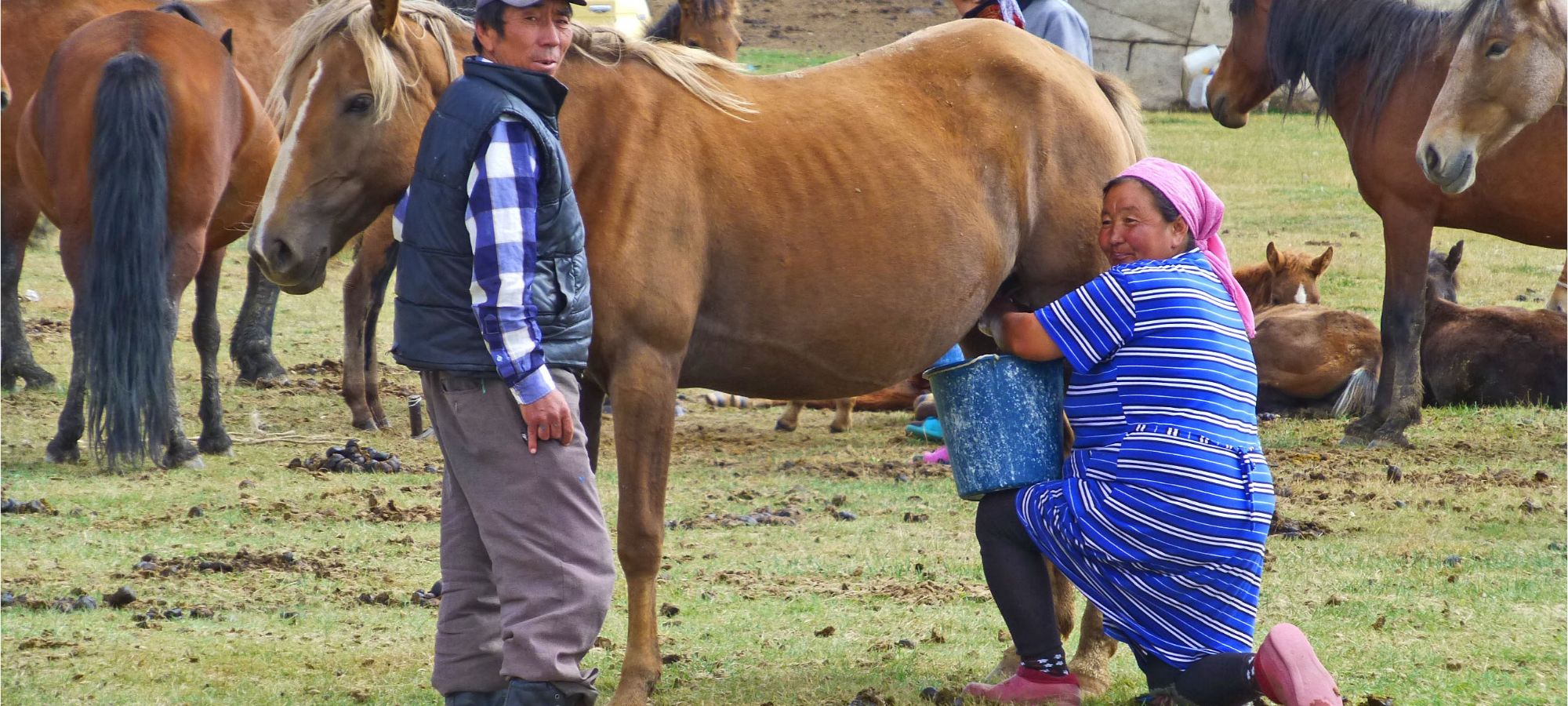 Photos from our Kyrgyzstan - The Shepherd's Way Cycling Holiday