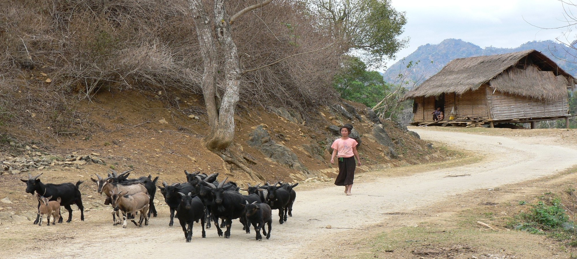 Photos from our Vietnam N.E Cycling Holiday