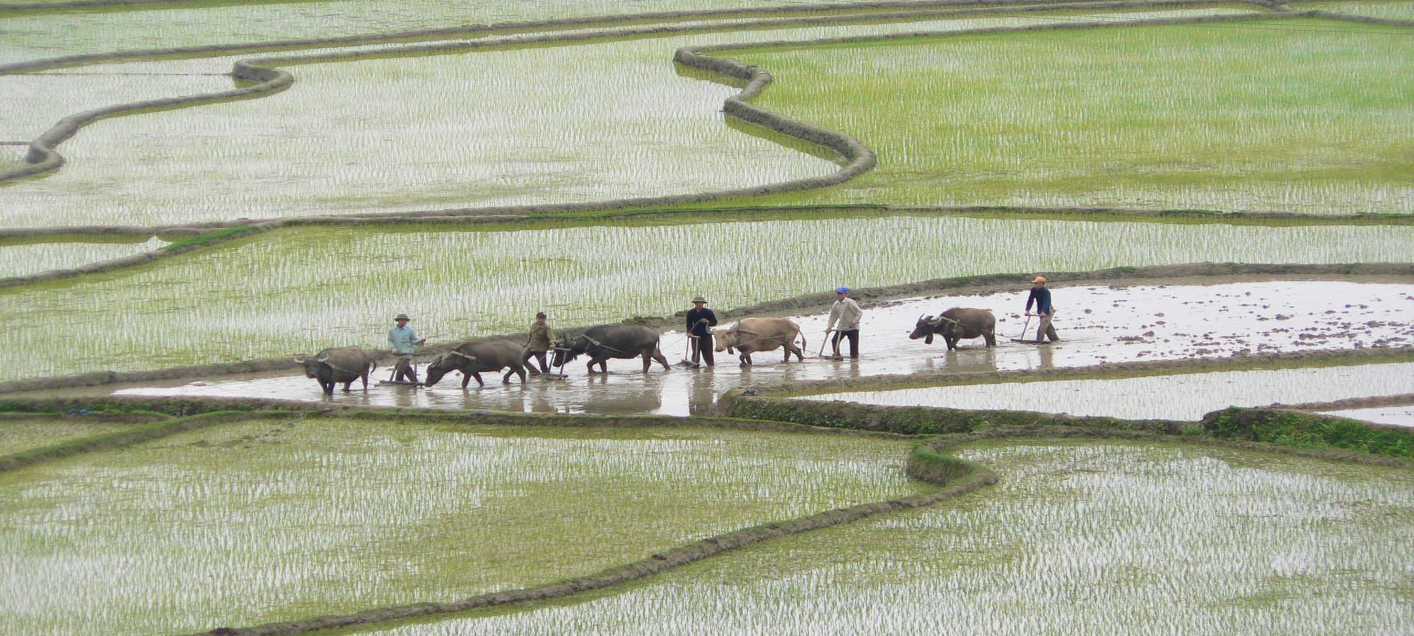 Photos from our Vietnam N.E Cycling Holiday