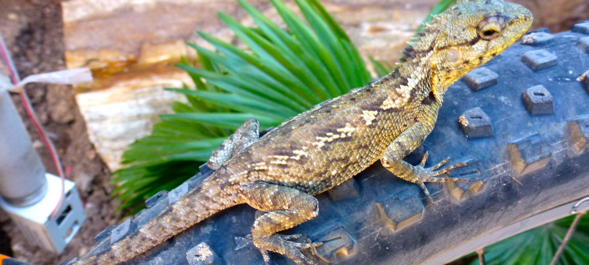 Photos from our Burma - Classic Cycling Holiday