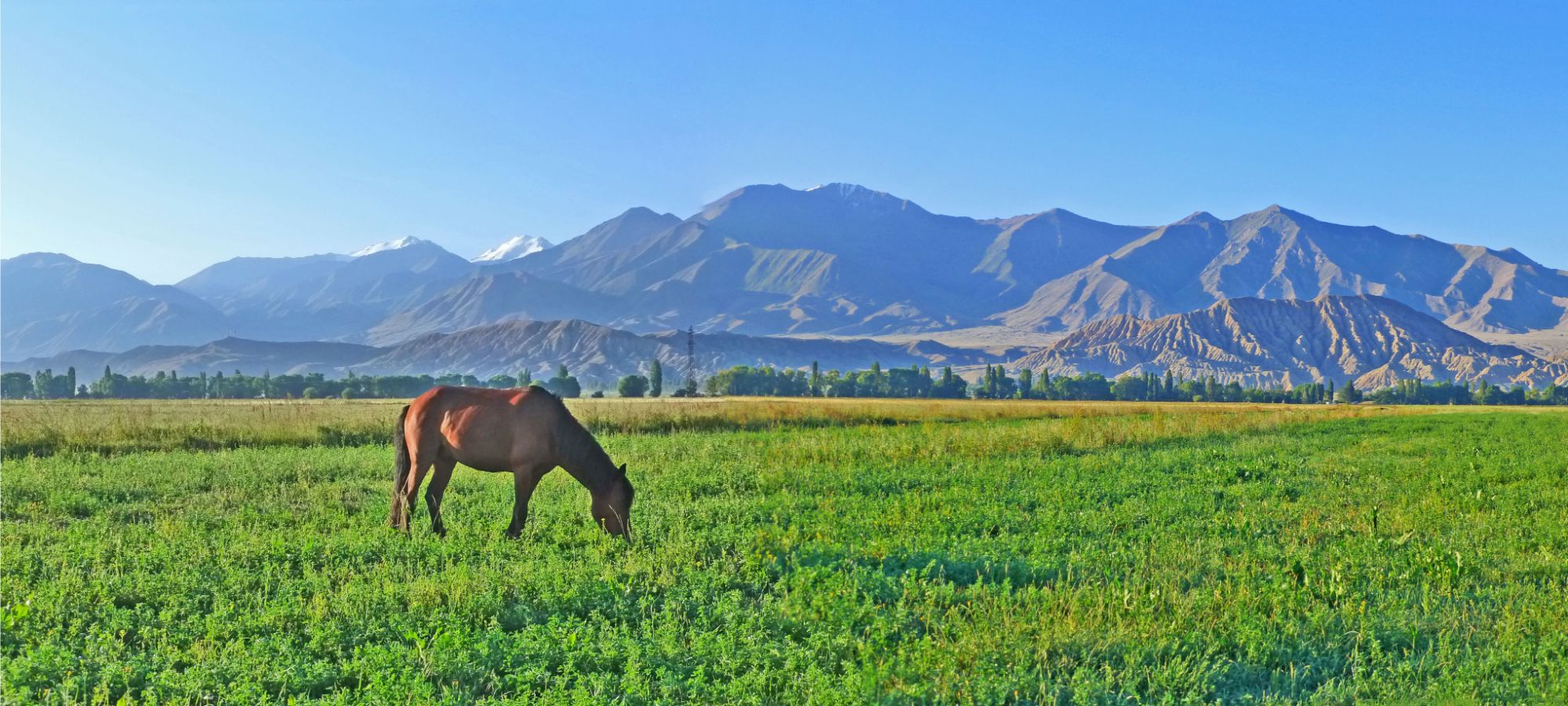 Photos from our Kyrgyzstan - The Shepherd's Way Cycling Holiday