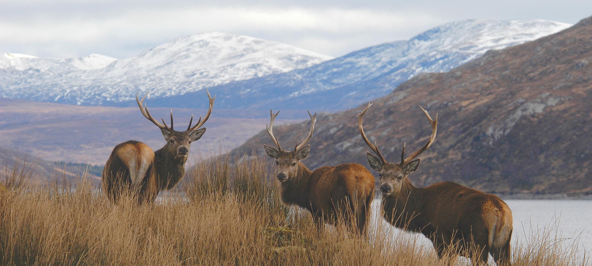Photos from our Far North - Self Guided Cycling Holiday