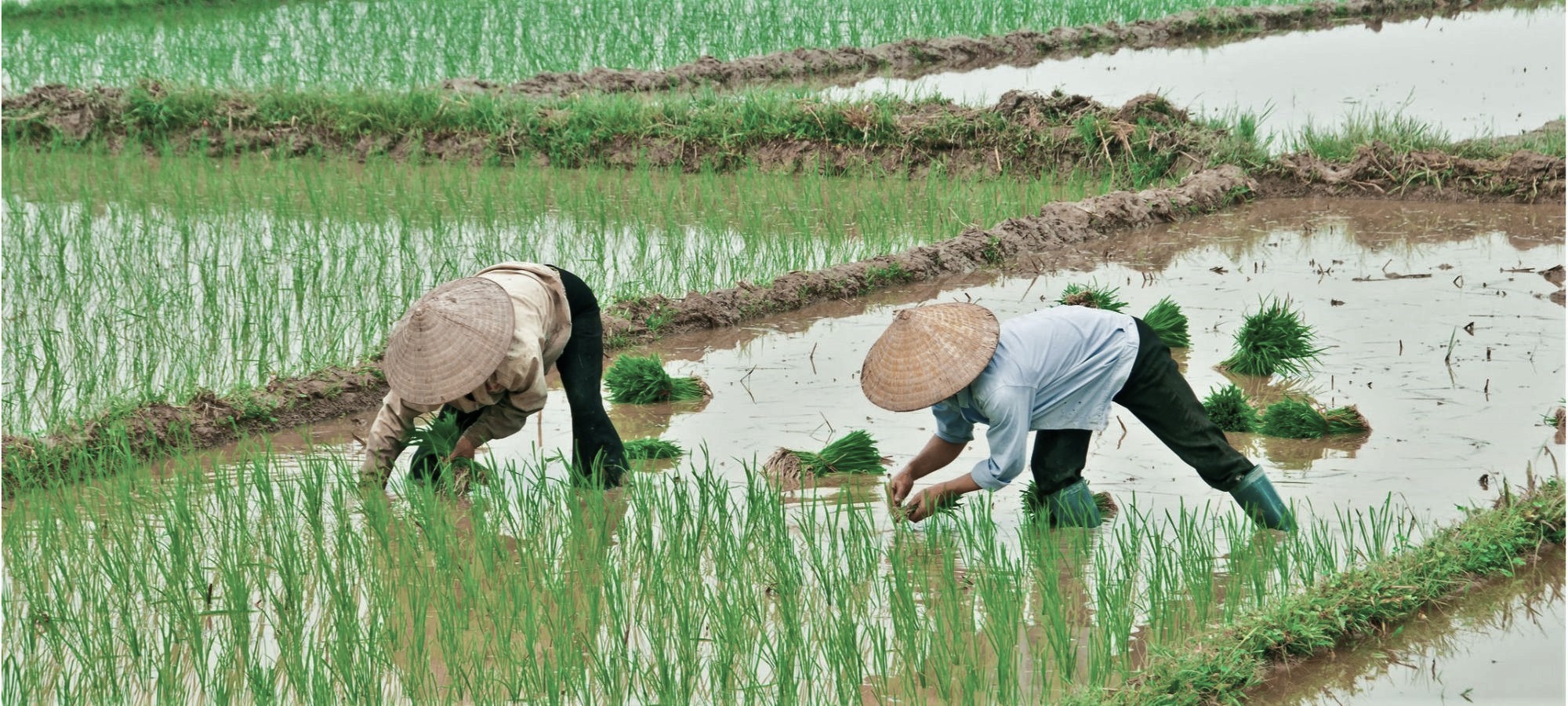 Photos from our Cambodia Cycling Holiday