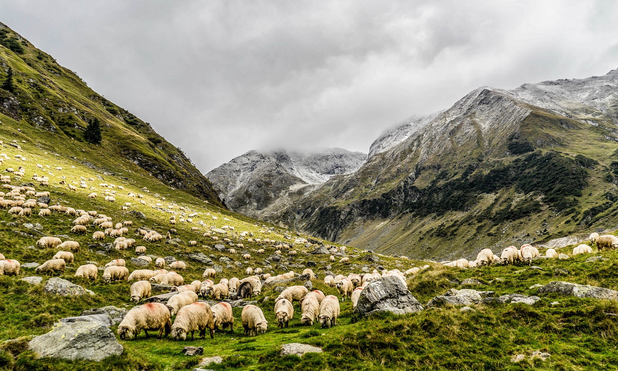 Photos from our Far North Cycling Holiday
